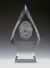 ALA Library Award 