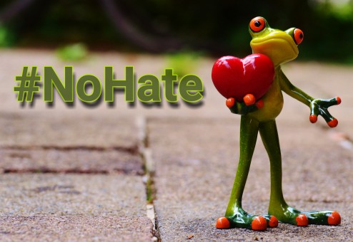 frog with no hate sign frog with no hate sign