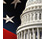 American Government.PNG