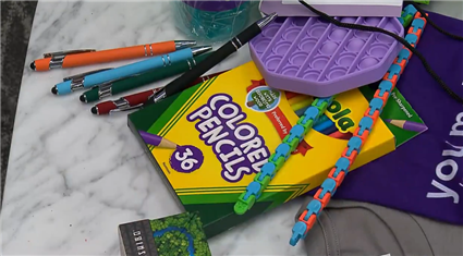 Traverse welcome bags